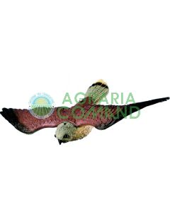 Espantapájaros_hawk_in_plastic