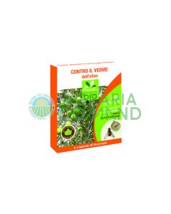 Gusano_feromona_oliva