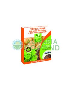 Feromona contra el gusano de la patata