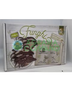 kit listo para setas pleurotus