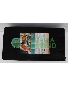 balla funghi pioppino balla funghi pioppino