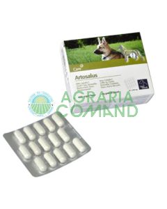 ARTOSALUS COMPRIMIDOS 60 UNID.