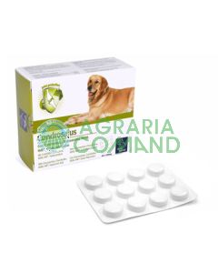 CONDROSALUS COMPRIMIDOS 60 UNID.