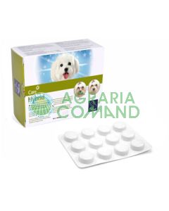 COMPRIMIDOS HÍBRIDOS 60 UDS.