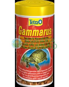 Tetra-gammarus-camarones
