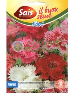 Clavel alto chino doble mezcla