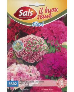 Clavel de poeta doble alto en mezcla