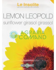 Girasol Limón Leopold