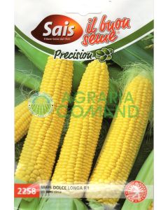 Semilla de maíz Sweet Longa