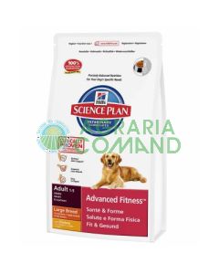 tamaño_de_la_comida_del_perro_de_la_colina