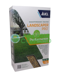 Semillas de césped resistentes a altas temperaturas Landscaper ICL