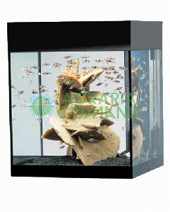 ACUARIO NEGRO PURO M ASKOLL LT.44