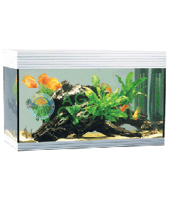 ACUARIO ASKOLL PURE WHITE L LT.68