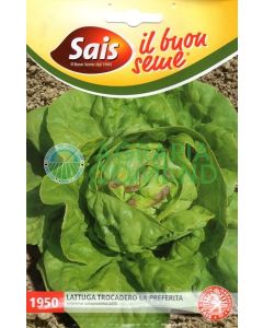 Trocadero lechuga el favorito