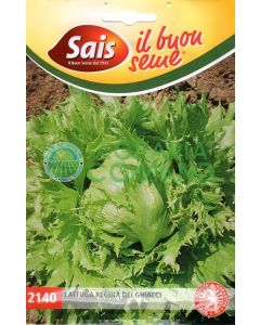 Lechuga reina del hielo