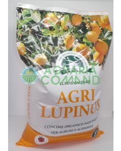 Agrilupinus altramuces