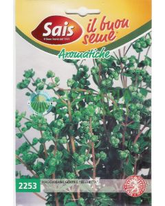 MEJORANA MARIETTA MEJORANA MARIETTA