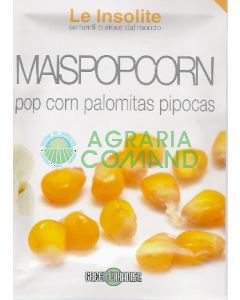 MAIS POP CORN MAIS POP CORN