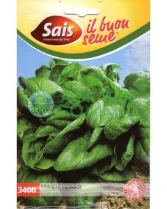 Semillas de espinacas Matador