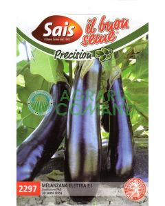 Berenjena Wide Electra