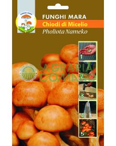 Pholiota nameko uñas Pholiota nameko uñas