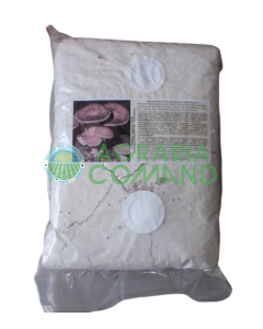 Semillas frescas de micelio Cardoncello