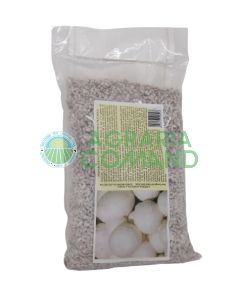 Micelio blanco fresco de Champignon