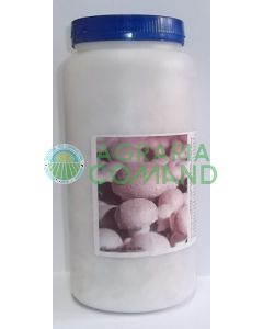 Mycelium_crema_fresca Mycelium_crema_fresca