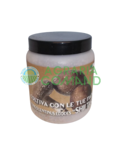 Micelio fresco para la producción de setas ShiiTake
