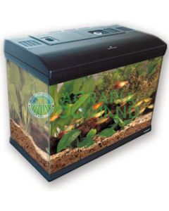 acuario-mirabello-60 acuario-mirabello-60