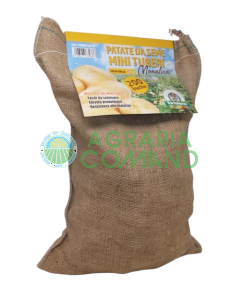 Mini patatas de siembra Monalisa