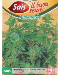 ORÉGANO ITALIANO DE FLORES VIOLETAS ORÉGANO ITALIANO DE FLORES VIOLETAS