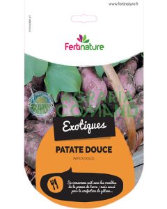 Patata_Americana_dulce