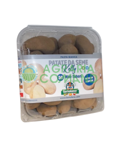 Paquete de patatas Kelly blancas