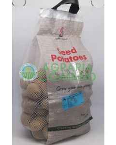 Envase 2,5 kg de amarina