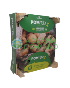 Patatas de siembra ecológicas Charlotte Patatas de siembra ecológicas Charlotte