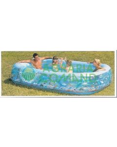 PISCINA RECTANGULAR 229 * 152 * 56