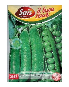 GUISANTE ENANO PROGRESS Nº 9