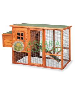 Gallinero de madera tratada para gallinas ponedoras Lyon 