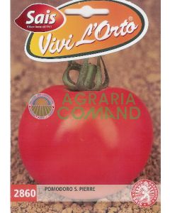 TOMATE S. PIERRE TOMATE S. PIERRE
