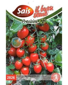 Tomate_daterino_dolcetto