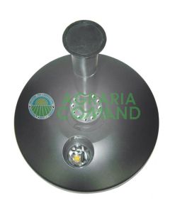 MAGO DE LOS ESTANQUES