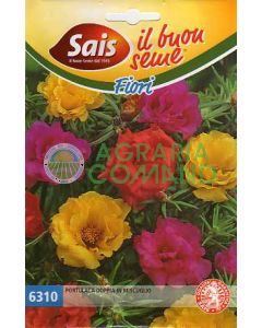 semilla-portulaca-doble-bush