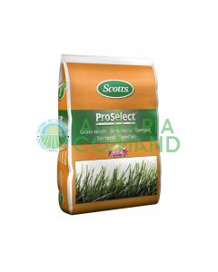 Fuerza térmica 10 kg