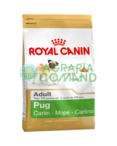 PUG Pug Adult croquetas kg.1,5 Royal Canin