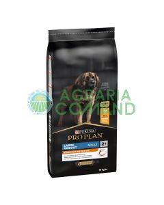 Pro Plan Adulto robusto