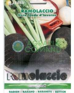 RAMITA NEGRA DE INVIERNO RAMITA NEGRA DE INVIERNO