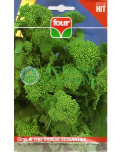 Nabo de Barese Top Seed