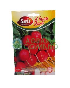 Rábano gigante siciliano - verano