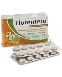 PASTILLAS FLORENTERO UD.30